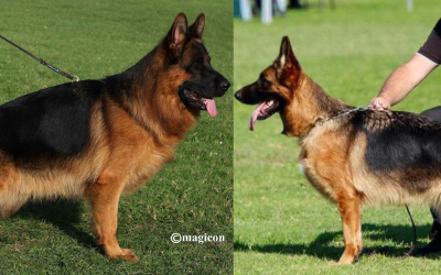 Ramdam Du Val D’anzin X Ulisses Du Chemin D’Eden