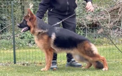 Athos Du Val D&rsquo;anzin