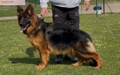 Aladin Du Val D&rsquo;anzin