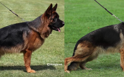 Prada Du Val D&rsquo;anzin X Re Della Valcuvia